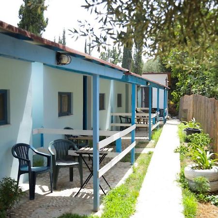Glamping Rooms At The Sea Turtle Dhërmi Εξωτερικό φωτογραφία