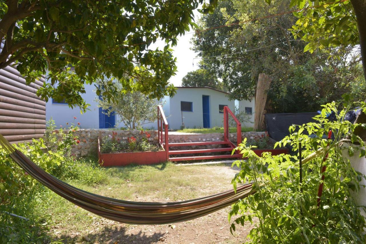 Glamping Rooms At The Sea Turtle Dhërmi Εξωτερικό φωτογραφία