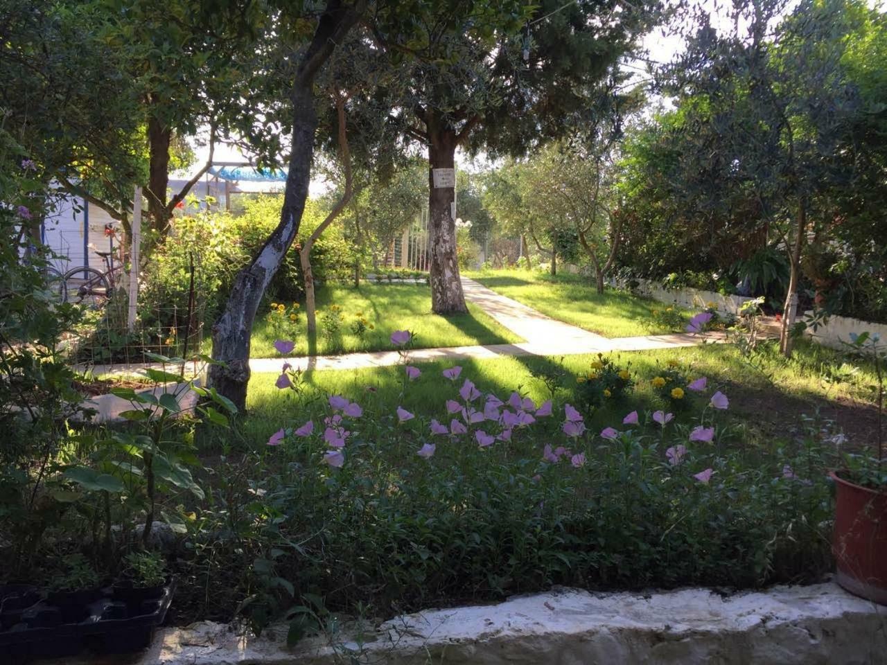 Glamping Rooms At The Sea Turtle Dhërmi Εξωτερικό φωτογραφία